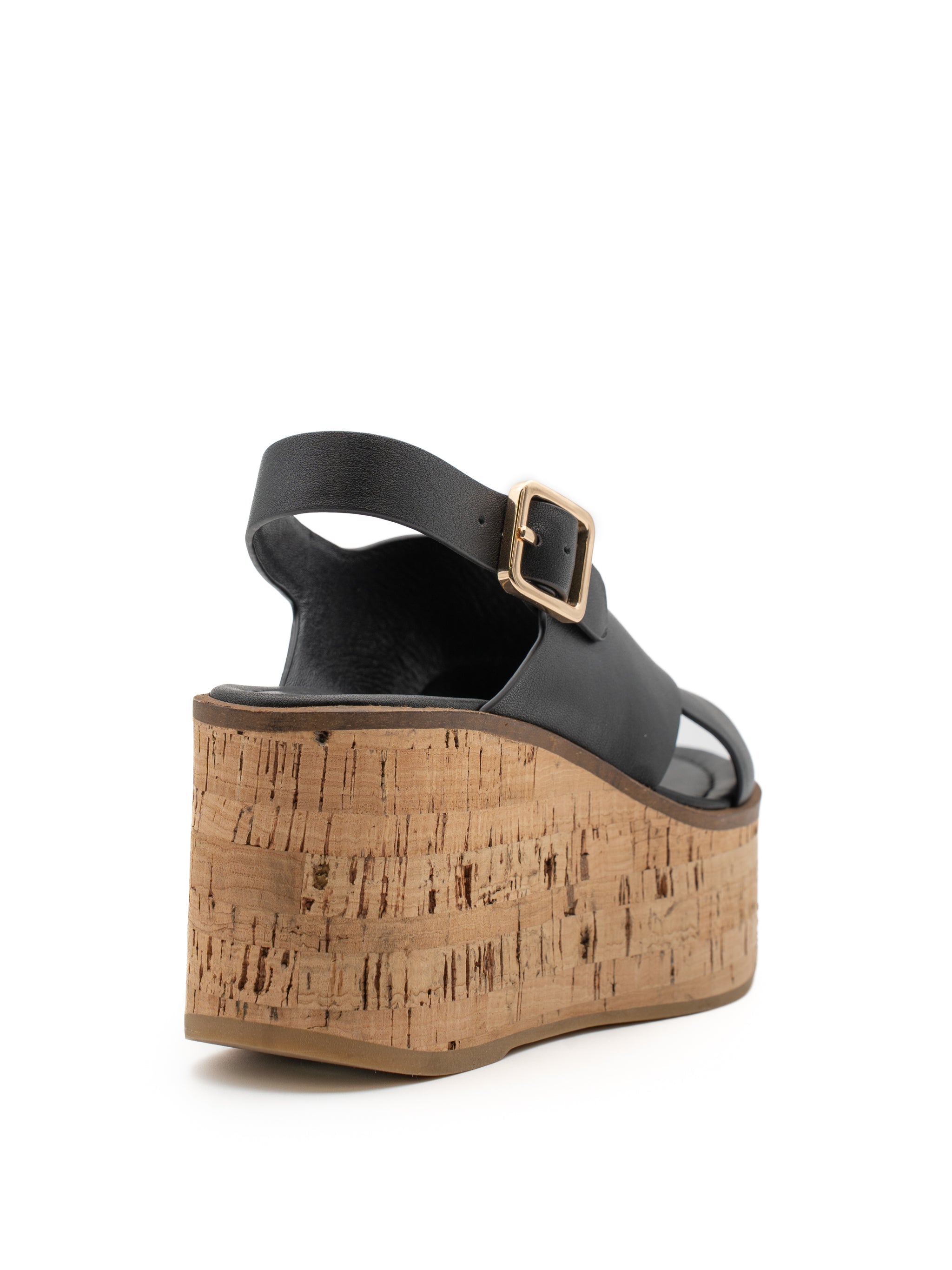 NUS CALIDIS BLACK