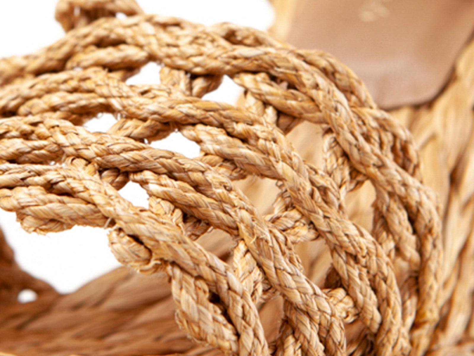 Sunlit Raffia